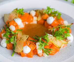 Salmon Crudo