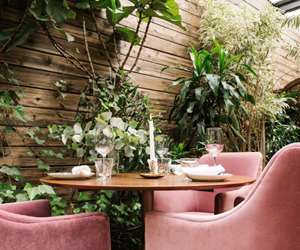 Pink chairs in Botanico