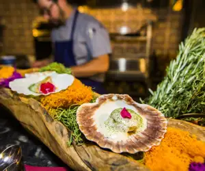 Scallops