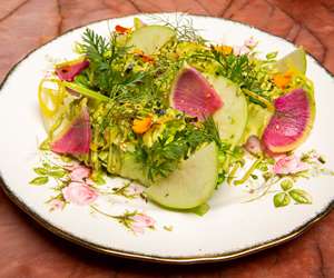 Salad with watermelon radishes 