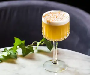 Foamy cocktail