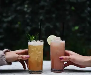 Guests toasting