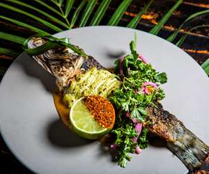 Whole Fish