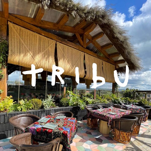 Tribu restaurant